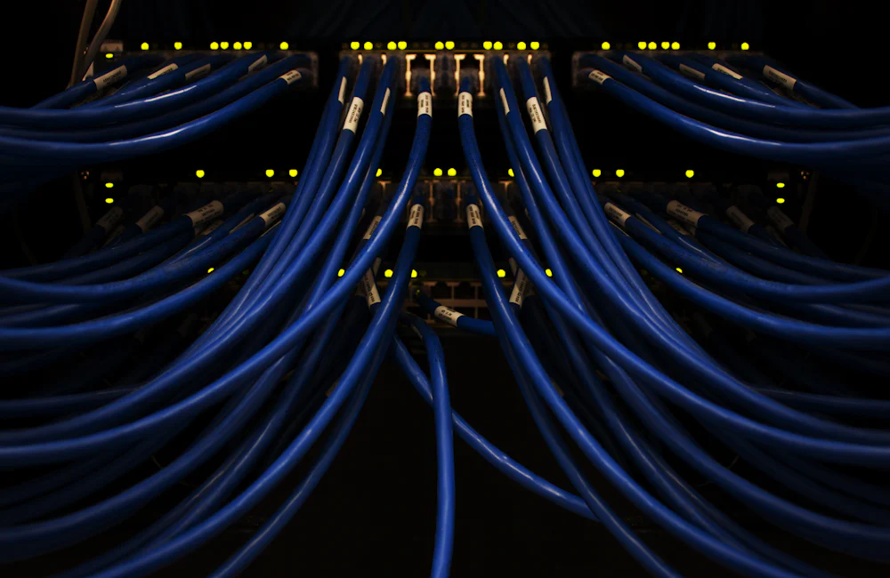 Cables de red azules conectados a un servidor